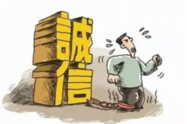 西充为什么选择专业追讨公司来处理您的债务纠纷？