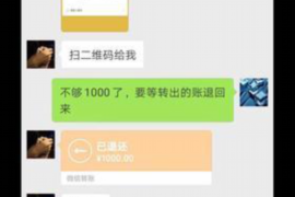 西充西充的要账公司在催收过程中的策略和技巧有哪些？